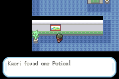 Pokemon Gaia 47.png