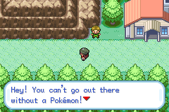 Pokemon Gaia 48.png