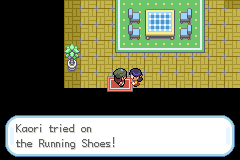 Pokemon Gaia 35.png