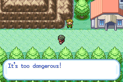 Pokemon Gaia 49.png