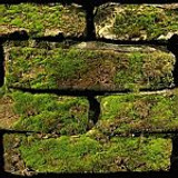 brick150