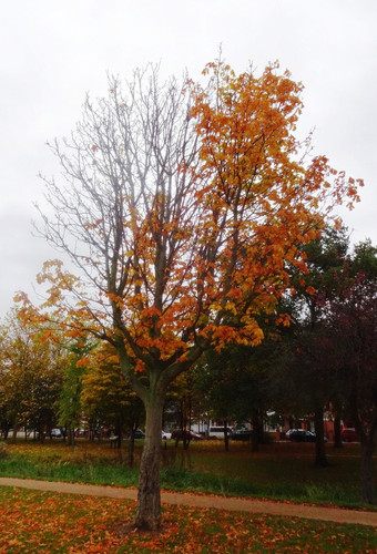 #Autumn - #Winter - 'Glorified is The Mighty Creator'
