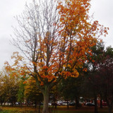 #Autumn - #Winter - &#039;Glorified is The Mighty Creator&#039;