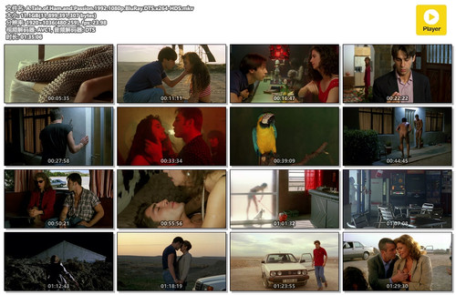 A.Tale.of.Ham.and.Passion.1992.1080p.BluRay.DTS.x264 HDS.mkv.jpg