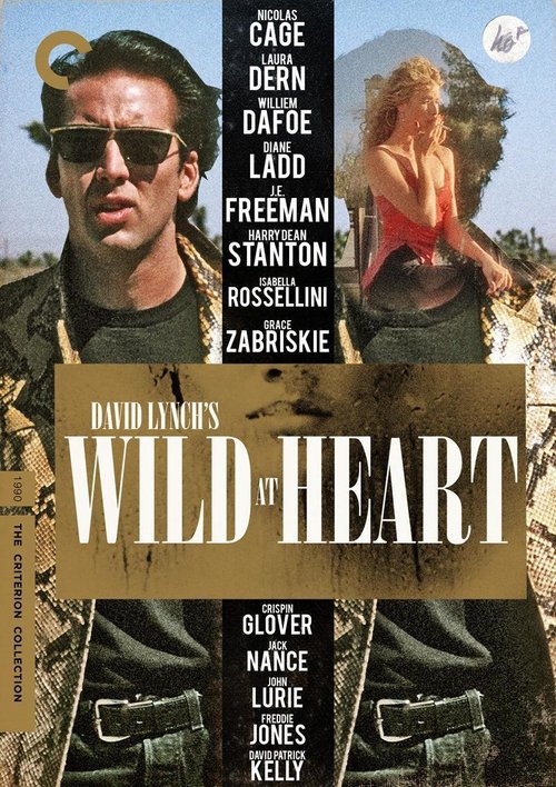 Dzikość serca / Wild at Heart (1990) PL.1080p.BDRip.x264-wasik / Lektor PL