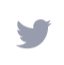 11 Twitter.png