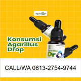 Slide5
