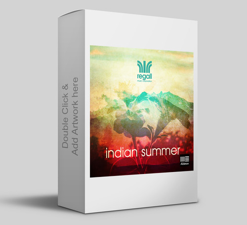 indian summer product box 5.jpg