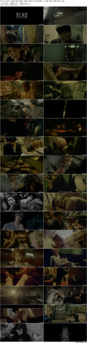 Fallen.Angels.1995.UHD.BluRay.2160p.2Audio.DTS HD.MA.5.1.x265.10bit.HDR BeiTai preview.jpg