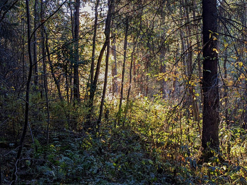 AGCD 20220928 4.jpg