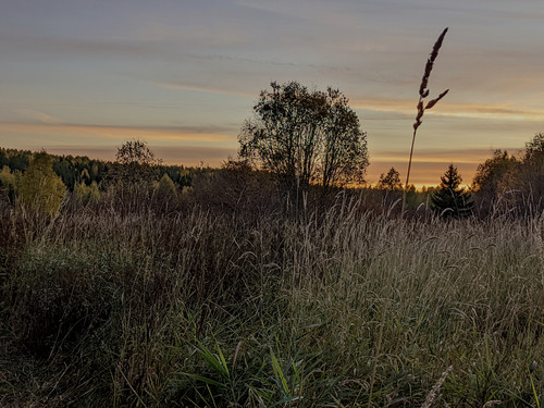AGCD 20220927 1.jpg