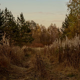 AGCD 20220927 8