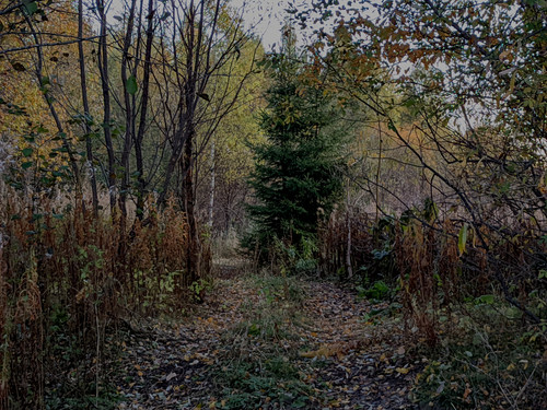 AGCD 20220927 9.jpg