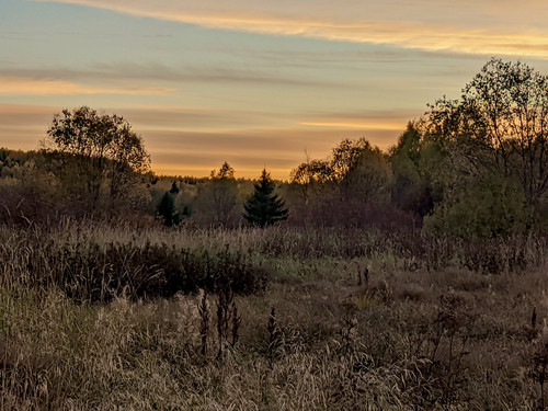 AGCD 20220927 3.jpg