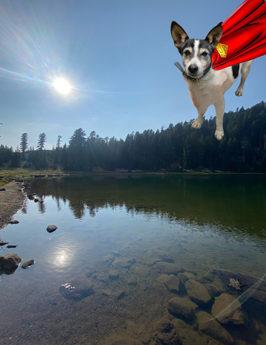 059F7697 8E8B 408D B7C6 B5ADC05F6BD5.jpg