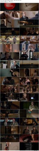13.Sins.2014.BluRay.1080p.DTS HD.MA5.1.x265.10bit BeiTai preview.jpg