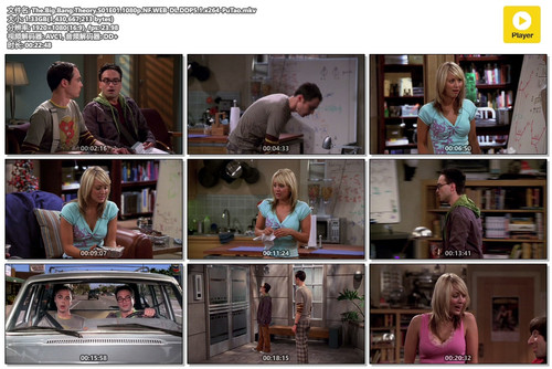 The.Big.Bang.Theory.S01E01.1080p.NF.WEB DL.DDP5.1.x264 PuTao.mkv.jpg
