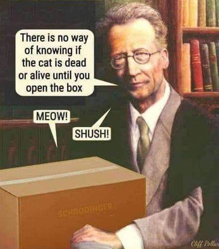 funny.jpg