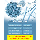 Slide3