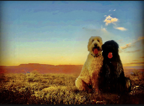 7D5FCED3 DF19 4687 8CEA 61B2B637F8F1.jpg