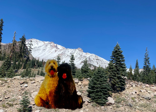 EE932B9B D107 4A3F B5CD F72799CDB31F.jpg