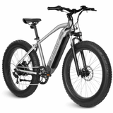 RANGER FAT TIRE EBIKE