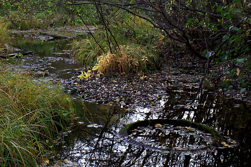 IMG 1412.jpg