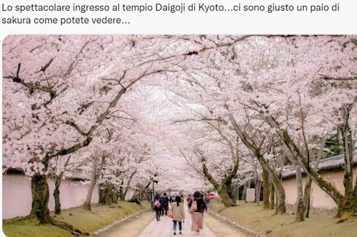 kyoto.jpg