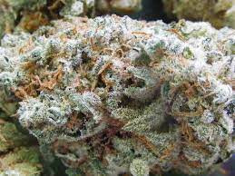 pineapple express.jpg