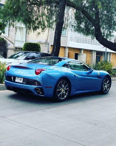 275267039 968594217130845 6361617840838922254 n.jpg