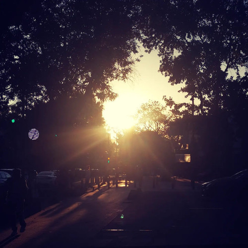 275422379 140437861802761 1183049101704134369 n.jpg