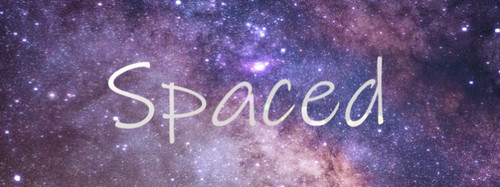 space header.jpg