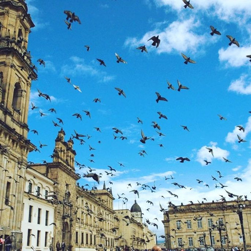 275274386 985398919049857 3199889201024456807 n.jpg