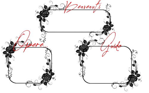 linn removebg preview.png