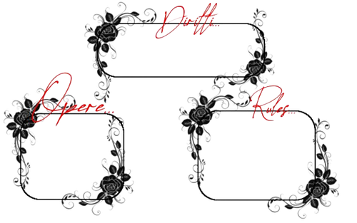 422982 317991734928509 1215369072 linon removebg preview.png