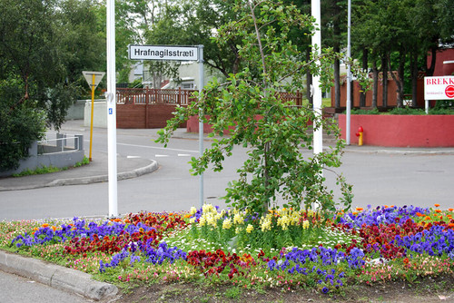 4959536572 250350d6a8 b.jpg