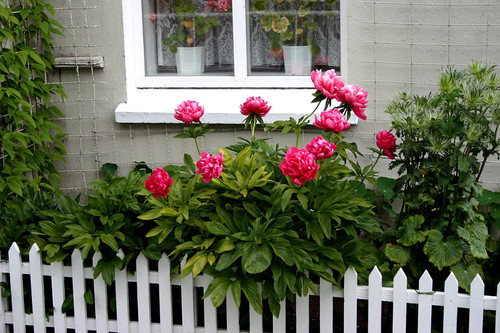 2165528581 3a3c93f3b9 b.jpg