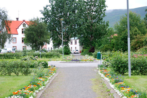 4959536768 f91516c4ea b.jpg