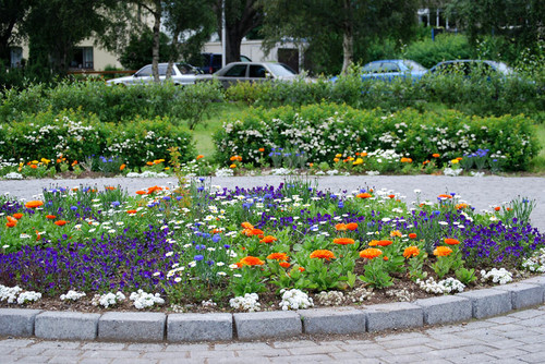 4959536702 5d5e9b748d b.jpg