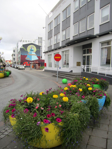 6104813511 c4b88fd28d b.jpg