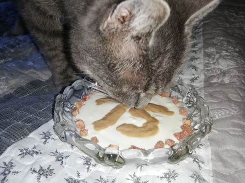 IMG 20220401 193932 ergebnis.jpg