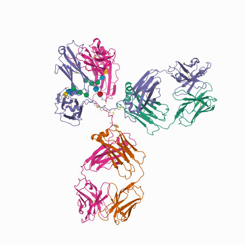Human LPAR3 Knockout HEK293T Cell Lysate.jpg