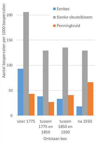 figuur bossenchalleng1.png