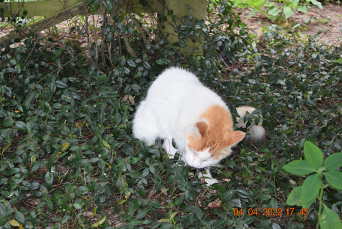 0ADBD46A 2B0D 4C6D 8C77 F59DB0F3D927.jpg