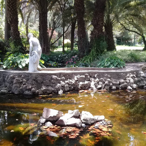 28435410 581727978852386 8028159513997606912 n.jpg