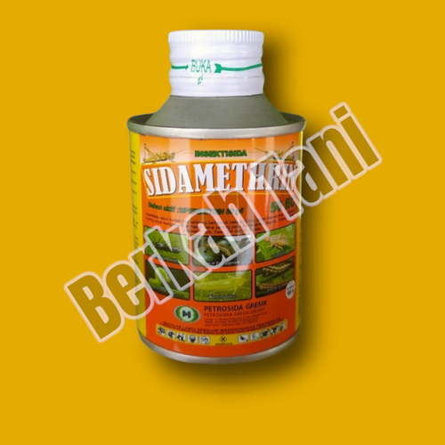 PhotoRoom 20220405 211851 1.png