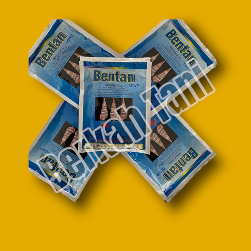 PhotoRoom 20220405 211852 2.png