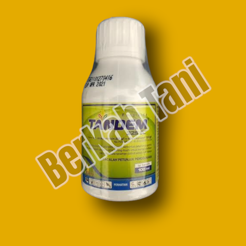 PhotoRoom 20220405 211657.png