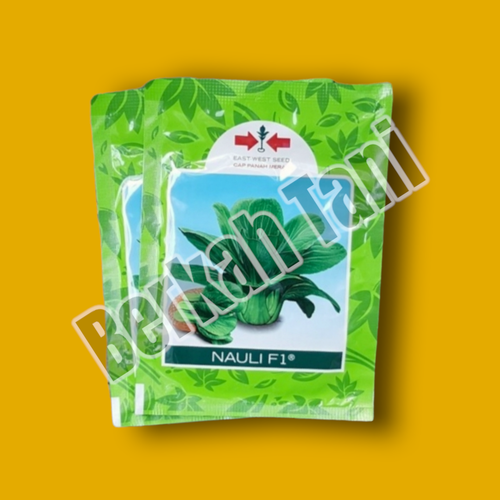 PhotoRoom 20220404 213312 10.png