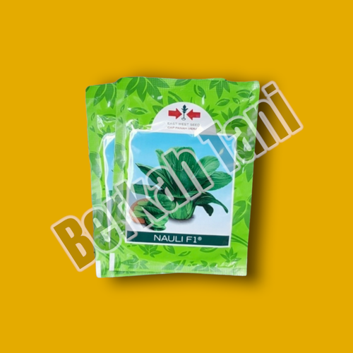 PhotoRoom 20220405 210857 1.png